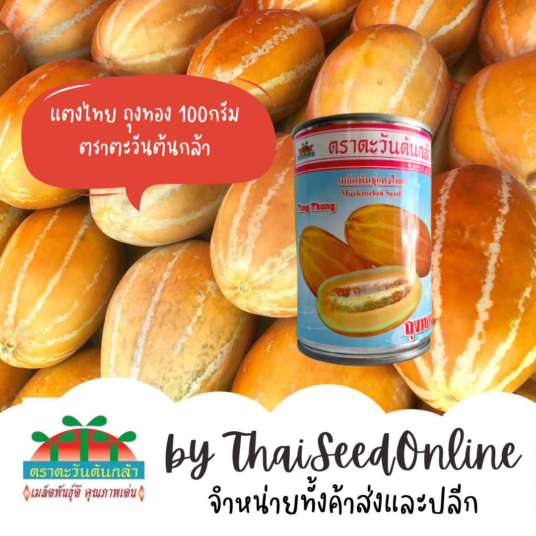 ADVCOM กป 80กรัม แตงไทยถุงทอง ตราตะวันต้นกล้า