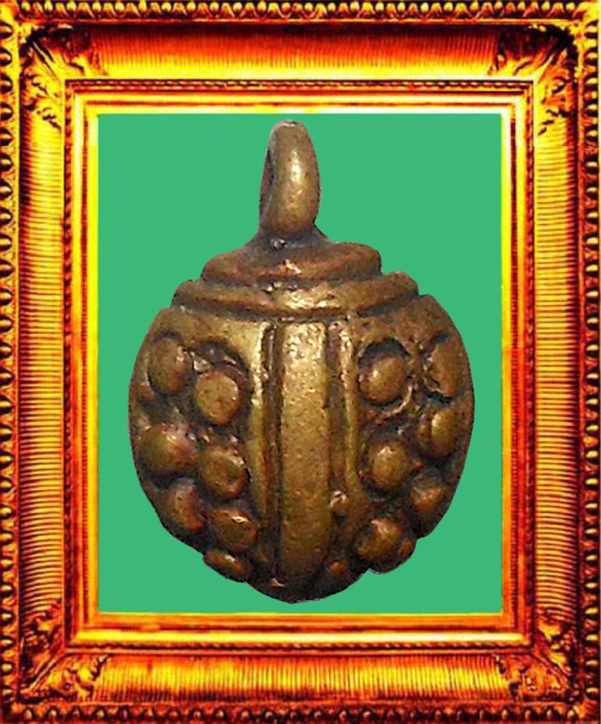พญาเต่าเรือนหลวงพ่อเงินวัดบางคลาน ตัวที่ 8