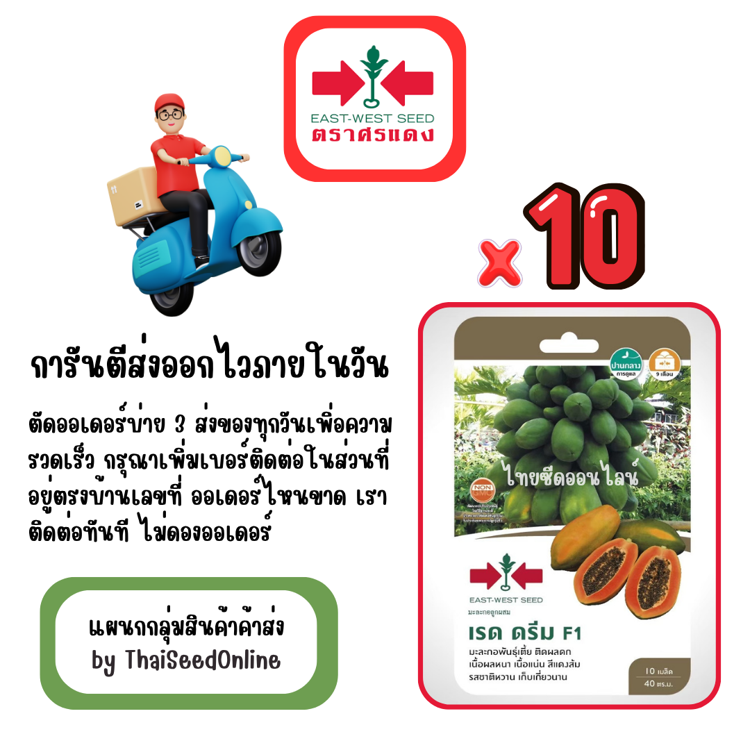 GGx10 เมล็ดผักซองศรแดง เรดดรีม มะละกอ สินค้ายกแพ็ค