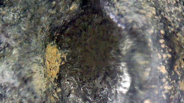 พระมเหศวรพิมพ์ใหญ่กรุวัดพระศรีรัตนมหาธาตุ องค์ที่ 5