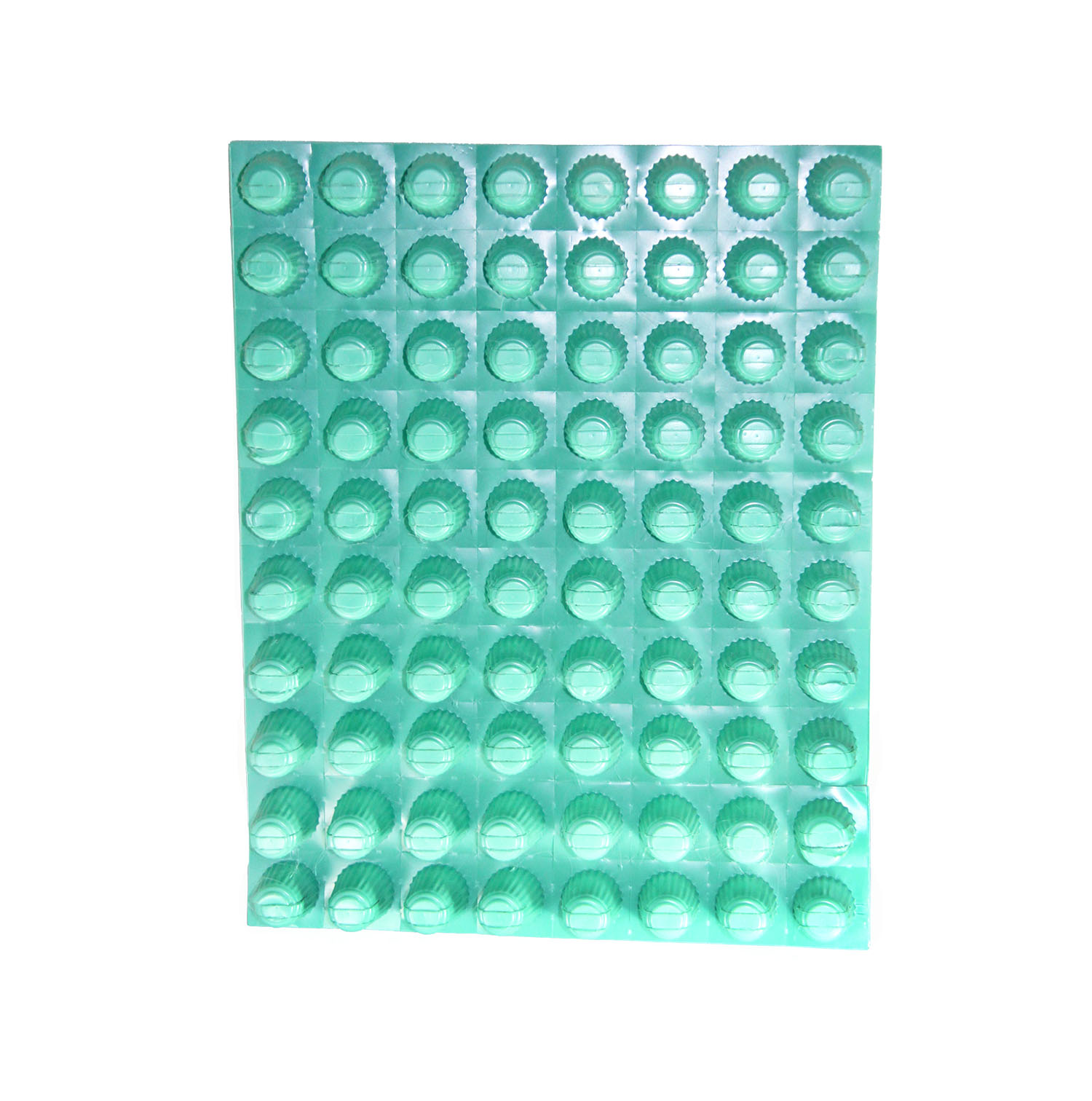 ถาดเพาะไฮโดรโปนิกส์ ถาดเพาะชำ ถาดเพาะกล้าสีเขียว 80 หลุม