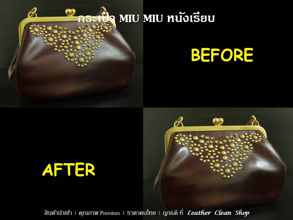 Spray All Combi สเปรย์ออลคอมบิ MIU MIU หนังเรียบ