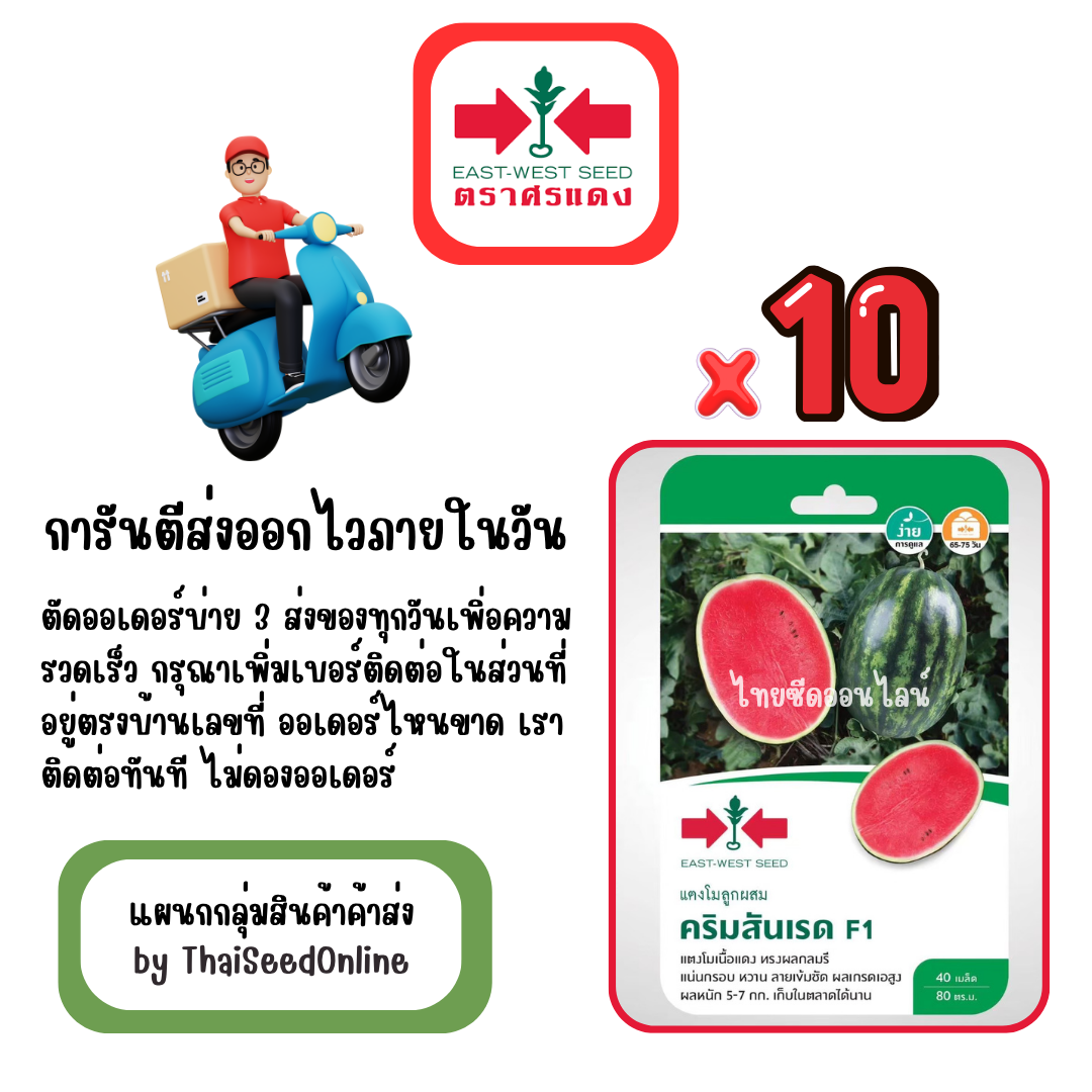GGx10 เมล็ดผักซองศรแดง คริมสันเรด แตงโม สินค้ายกแพ็ค