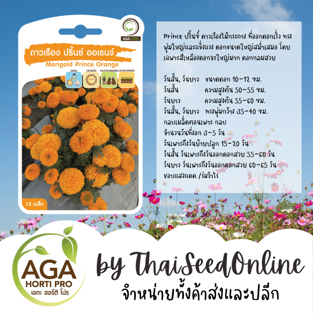 AGA Agro(เอกะ อะโกร) AGAPREMIUM ดาวเรืองปรินซ์ออเร้นจ์ เมล็ดดาวเรือง 15เมล็ด ตราเอกะอะโกร Marigold