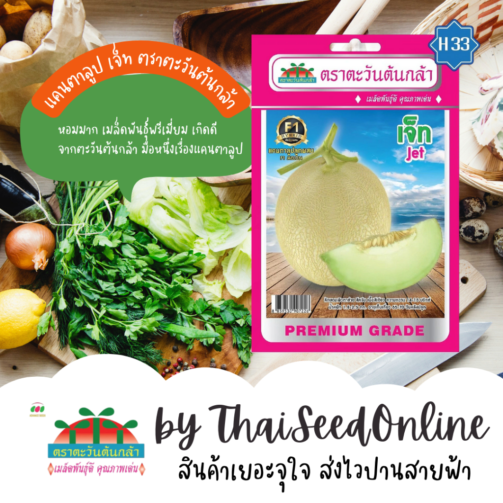 Advance Seeds(ตราตะวันต้นกล้า) ADVF1 ซฟ เมล็ดพันธุ์แคนตาลูป เจ็ท ตราตะวันต้นกล้า H33