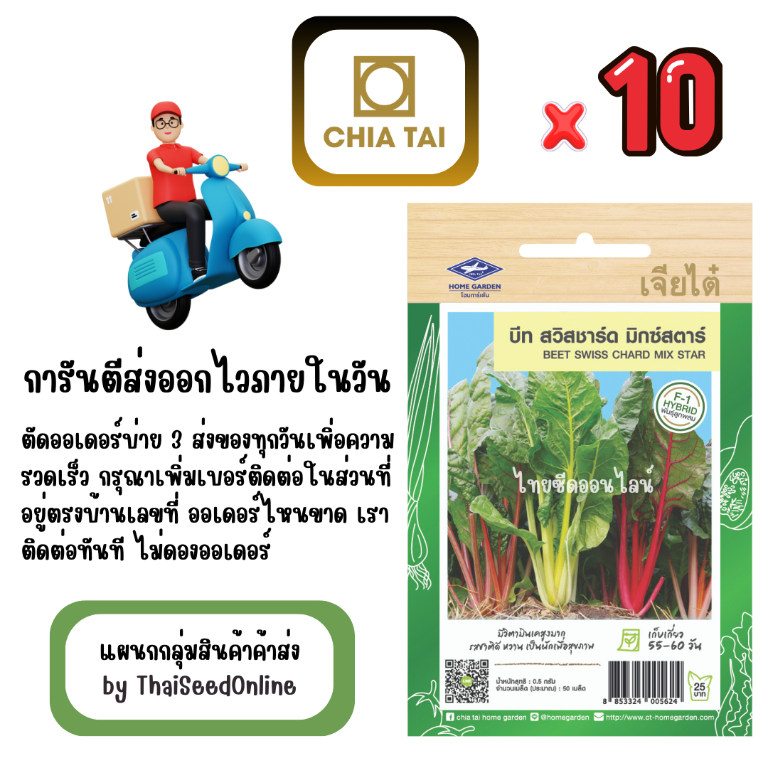 CTF1 x 10 เมล็ดผักซองเจียไต๋ ผักสลัด บีท สวิสชาร์ด สินค้ายกแพ็ค