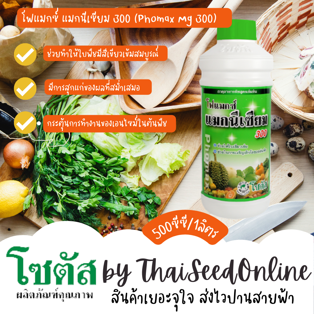 โซตัส 500 ซีซี โฟแมกซ์ แมกนีเซียม 300 (Phomax Mg 300) โฟแมกซ์ แมกนีเซียม 300 เร่งการเพสลาด ช่วยให้ใบเขียวเข้ม โซตัส HORMONES