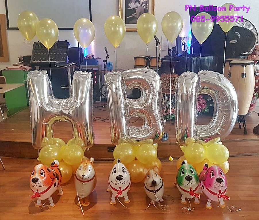 รีวิว งานวันเกิดและลูกโป่งหมาเดินได้ HBD & Walking Dog