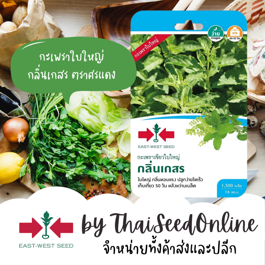 ตราศรแดง GGEW เมล็ดพันธุ์ซฟ กะเพรากลิ่นเกสร กะเพราเขียวใบใหญ่ 1500 เมล็ด ตราศรแดง Holy Basil 2/2569