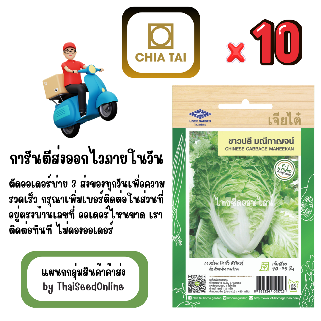 CTF1 x 10 เมล็ดผักซองเจียไต๋ ผักกาดขาวปลี มณีกาญจน์ สินค้ายกแพ็ค