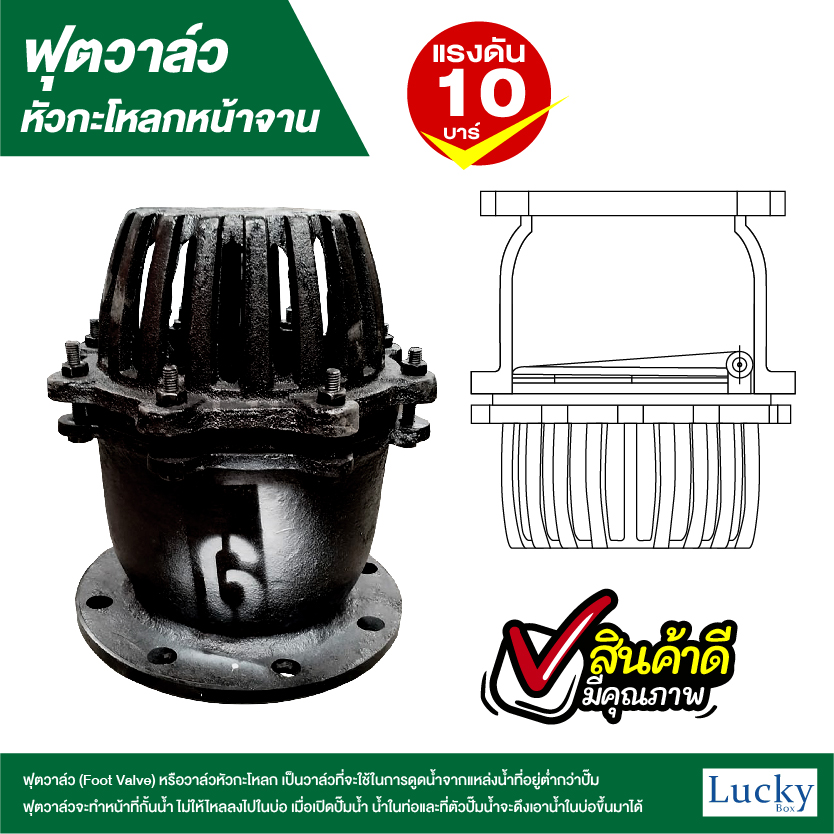 ฟุตวาล์ว (Foot Valve) วาล์วหัวกะโหลก หน้าจาน เหล็กหล่อ ขนาด 6 นิ้ว