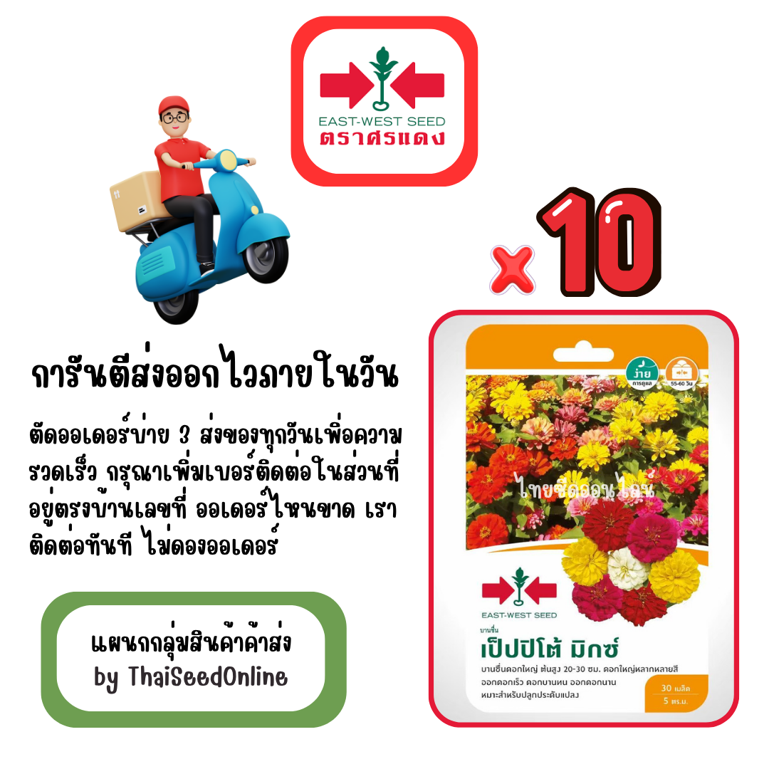 GGx10 เมล็ดผักซองศรแดง เป็ปปิโต้ มิกซ์ บานชื่นดอก สินค้ายกแพ็ค