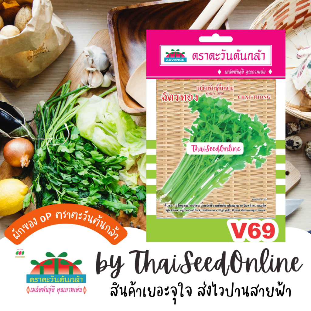 Advance Seeds(ตราตะวันต้นกล้า) ADVOP ซฟ เมล็ดพันธุ์ คื่นฉ่าย ฉัตรทอง ประมาณ 8000 เมล็ด ตราตะวันต้นกล้า V69