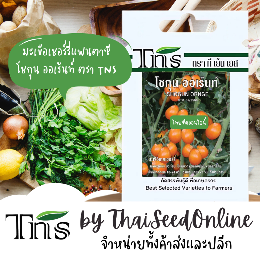 Chia Tai(เจียไต๋) TNS(ทีเอ็นเอส) TNS เมล็ดพันธุ์แบบซองเล็ก มะเขือเชอร์รี่ โชกุน ออเร้นท์ ตรา ที เอ็น เอส