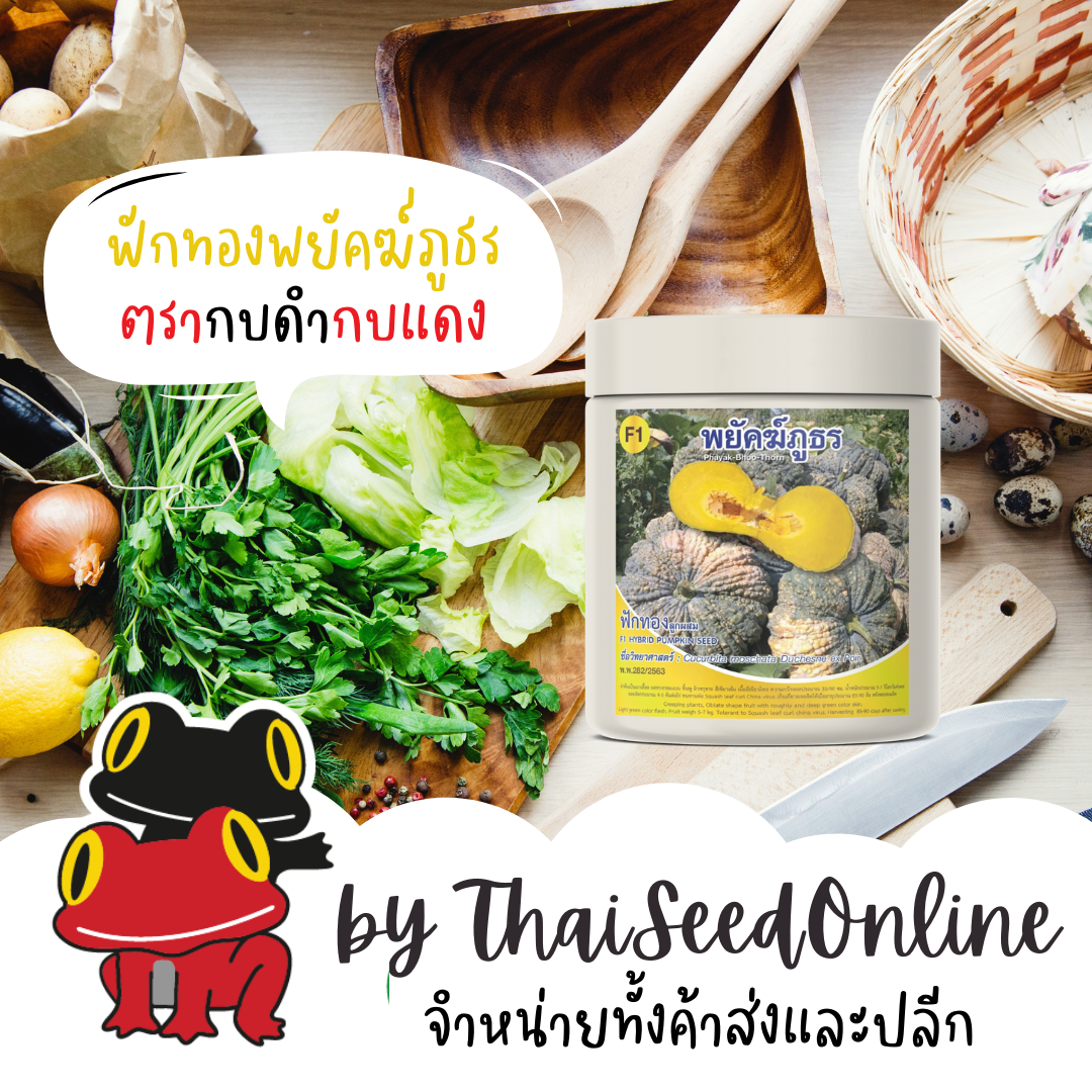AGA Horti Pro(เอกะฮอร์ติโปร) AGAHCOM เมล็ดพันธุ์ ฟักทอง พยัคฆ์ภูธร 100กรัม ตรากบดำกบแดง Pumpkin