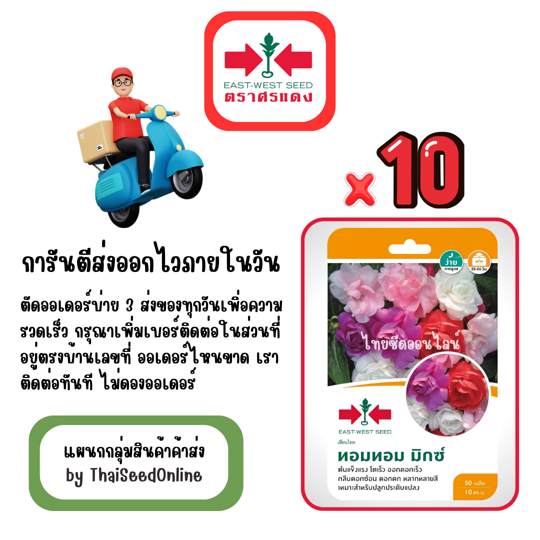 GGx10 เมล็ดผักซองศรแดง ทอมทอม มิกซ์ เทียนซ้อน สินค้ายกแพ็ค