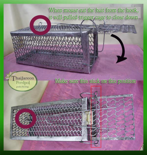 กรงดักหนู กับดักหนูแบบกรง