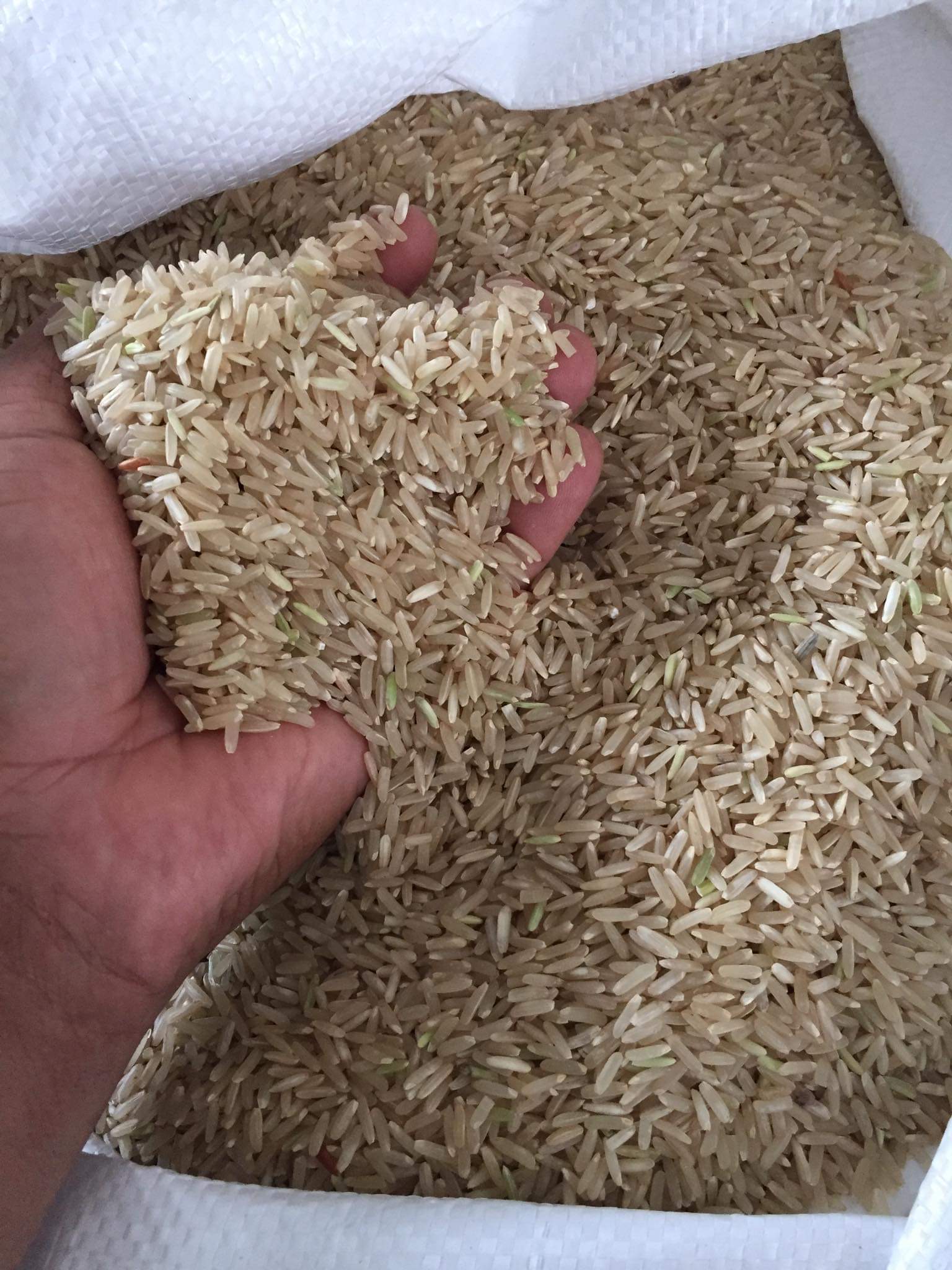 ข้าวกล้องหอมมะลิ (กระสอบ 25กก)