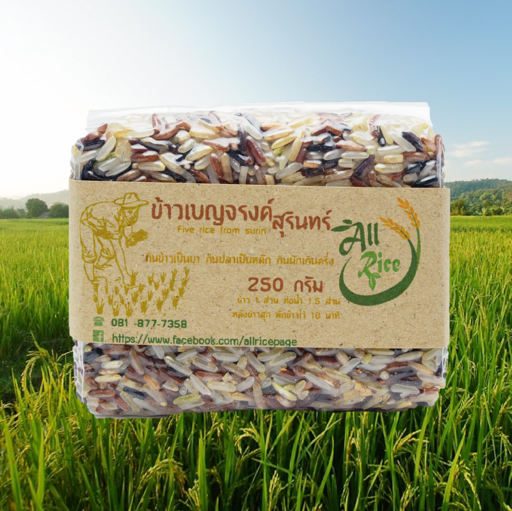 ข้าวเบญจรงค์ 250 กรัม
