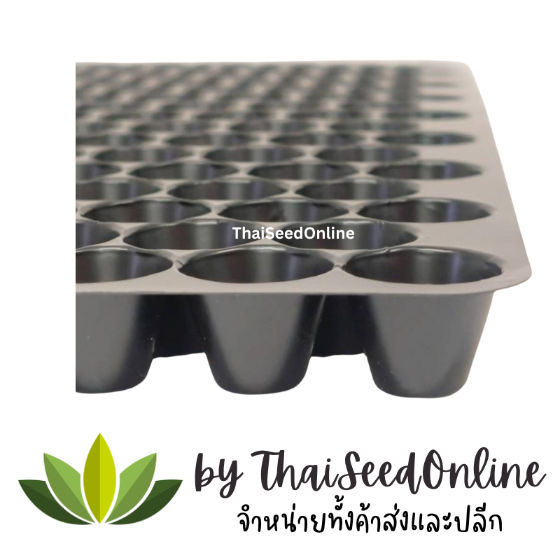 ถาดเพาะกล้านาโยนเกรดพรีเมี่ยม *รุ่นแกะง่ายถาดดำ* แพ็คละ 80 ถาด ขนาด 434 หลุม นาโยน