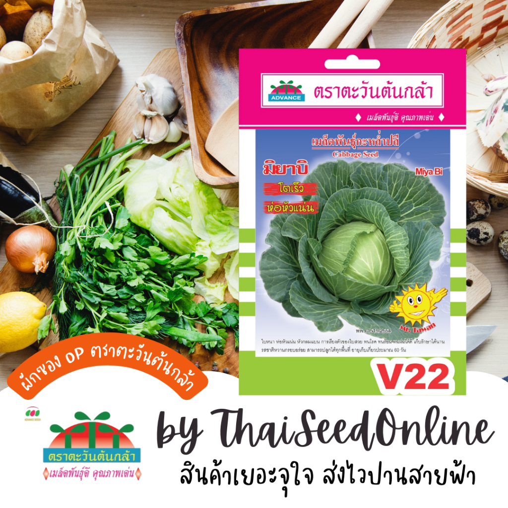 Advance Seeds(ตราตะวันต้นกล้า) ADVOP ซฟ เมล็ดพันธุ์ กะหล่ำปลี มิยาบิ ตราตะวันต้นกล้า V22