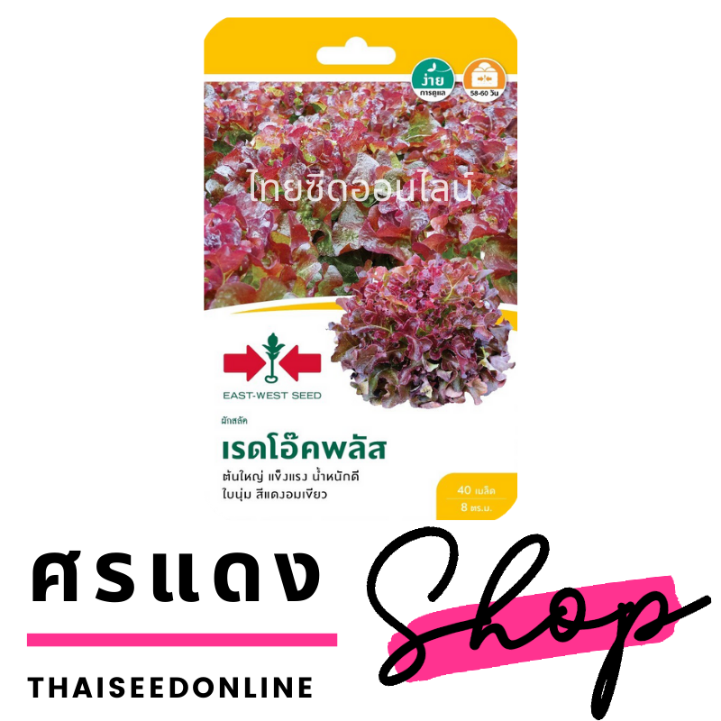 GGEW เมล็ดพันธุ์ซฟ เรดโอ๊คพลัส ตราศรแดง LETTUCE