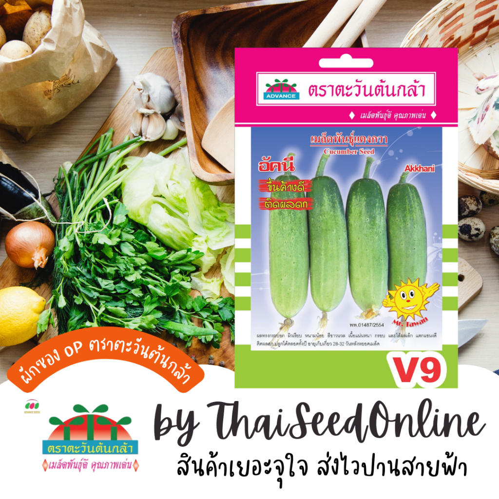 Advance Seeds(ตราตะวันต้นกล้า) ADVOP ซฟ เมล็ดพันธุ์ แตงกวาอัคนี ประมาณ 100 เมล็ด ตราตะวันต้นกล้า V9