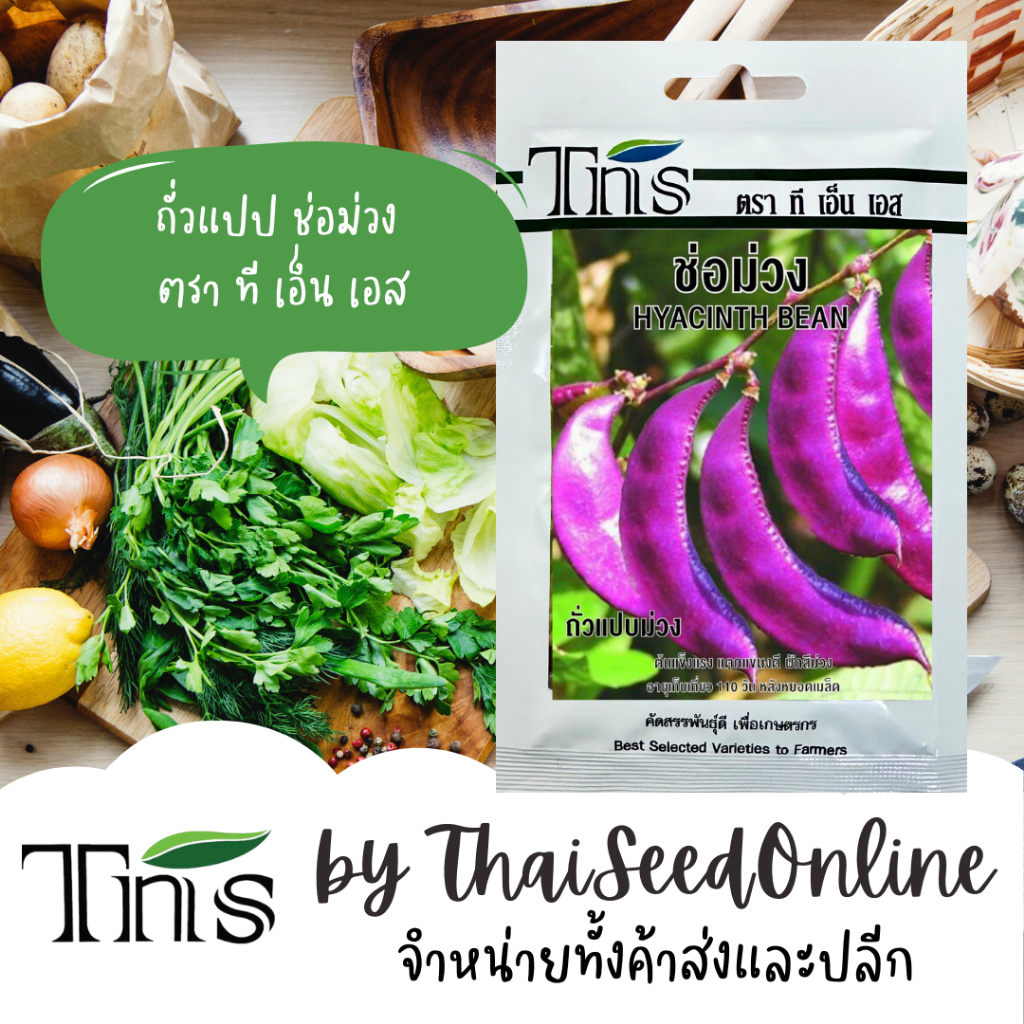 TNS(ทีเอ็นเอส) TNS เมล็ดพันธุ์แบบซองเล็ก ถั่วแปปม่วง ช่อม่วง ปริมาณ 4 กรัม ตรา ที เอ็น เอส Pea