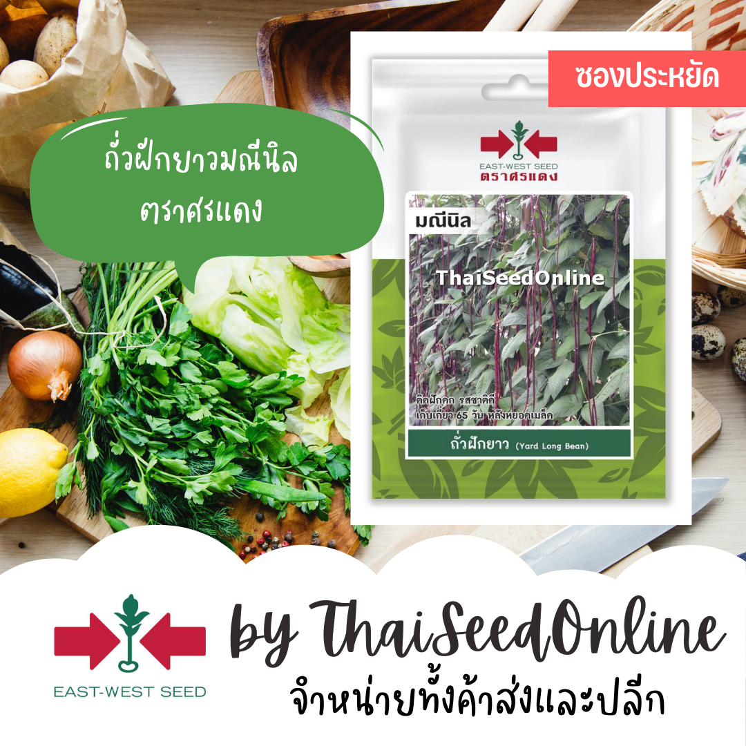 ศรแดง VP3 ซฟ เมล็ดพันธุ์ ถั่วฝักยาวสีม่วง มณีนิล 40เมล็ด ตราศรแดง Purple Long Yard Bean