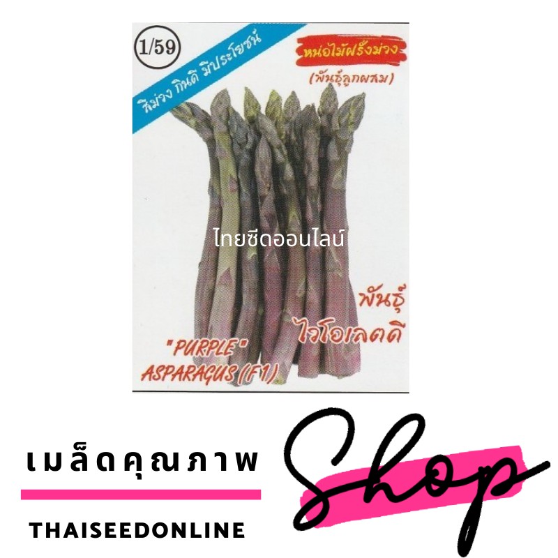 3A(สามเอ) เมล็ดพันธุ์ หน่อไม้ฝรั่งสีม่วง พันธุ์ไวโอเลตดี 5 เมล็ด ตราตองสามเครือสามเอ Purple Asparagus