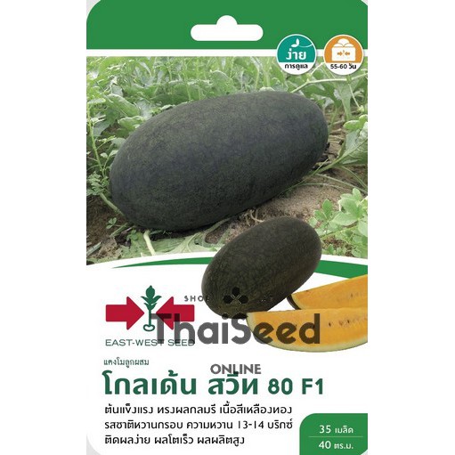 GGEW เมล็ดพันธุ์ซฟ แตงโมโกลเด้นสวีท80 35เมล็ด ตราศรแดง Watermelon
