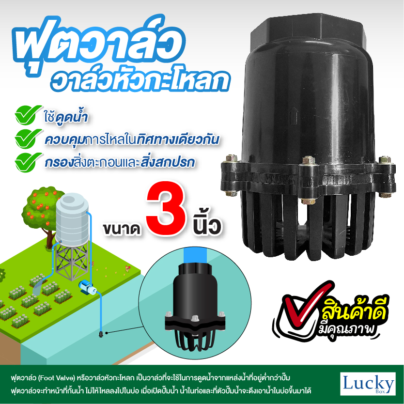 ฟุตวาล์ว (Foot Valve) วาล์วหัวกะโหลก ขนาด 3 นิ้ว
