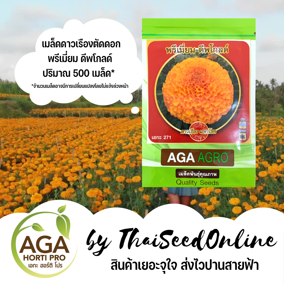 เมล็ดพันธุ์ ดาวเรือง พรีเมี่ยมดีพโกลด์ สีทองเข้ม Mar271 500 เมล็ด Marigold ตราเอกะอะโกร