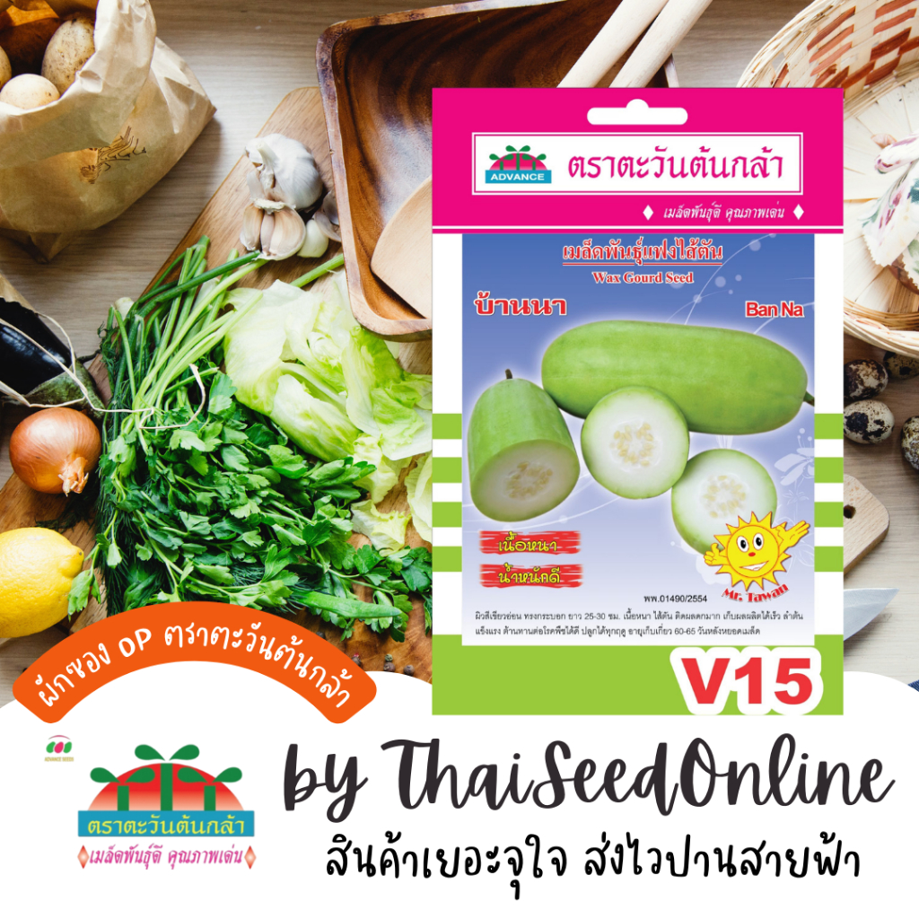 Advance Seeds(ตราตะวันต้นกล้า) ADVOP ซฟ เมล็ดพันธุ์ แฟงไส้ต้น บ้านนา ตราตะวันต้นกล้า V15