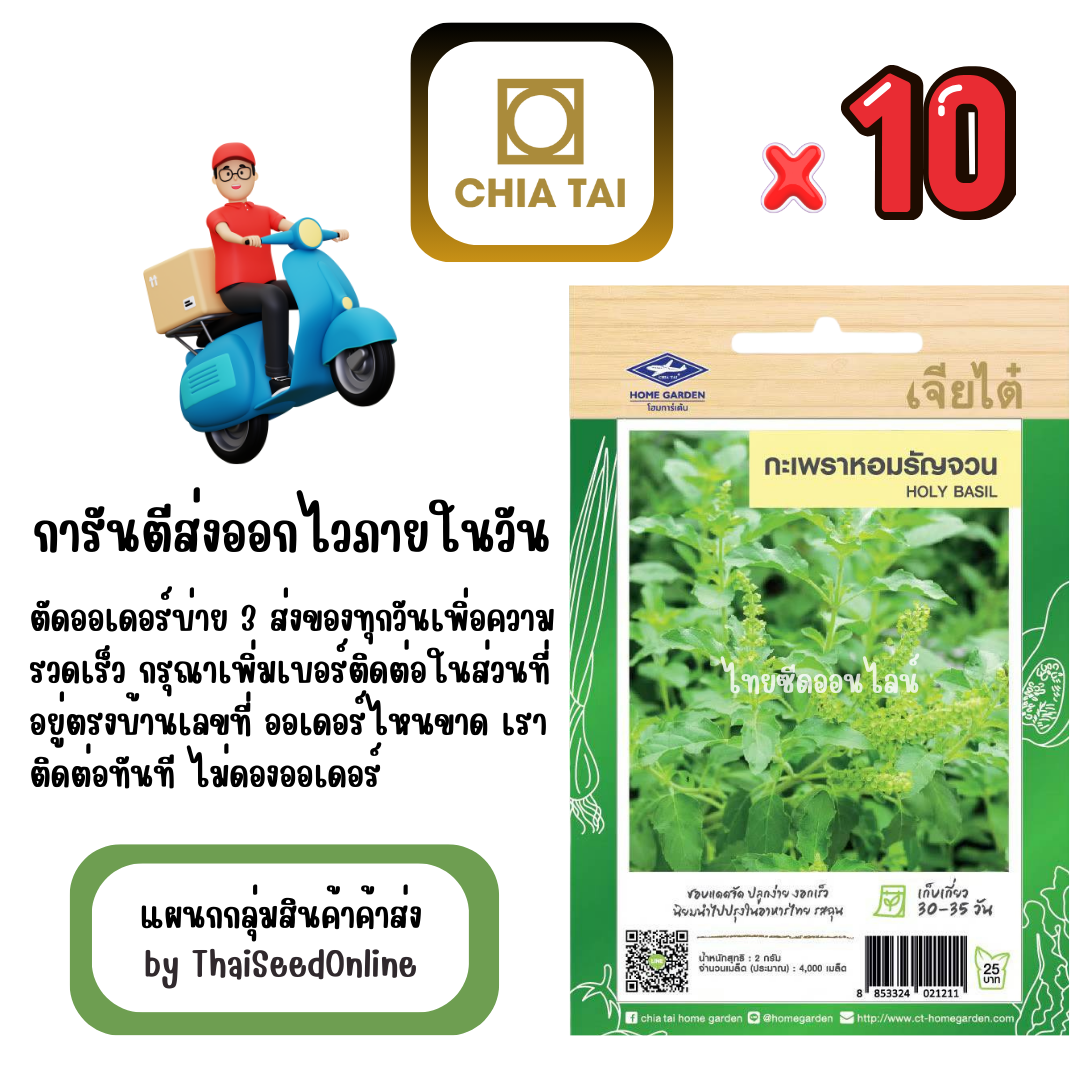 CTF1 x 10 เมล็ดผักซองเจียไต๋ กะเพรา หอมรัญจวน สินค้ายกแพ็ค
