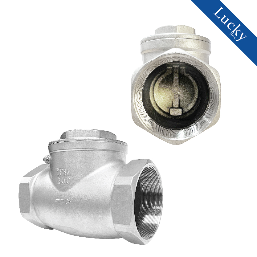 เช็ควาล์วสแตนเลส 304 เแบบเกลียวบานพับแนวนอน ขนาด 1 นิ้ว DN25