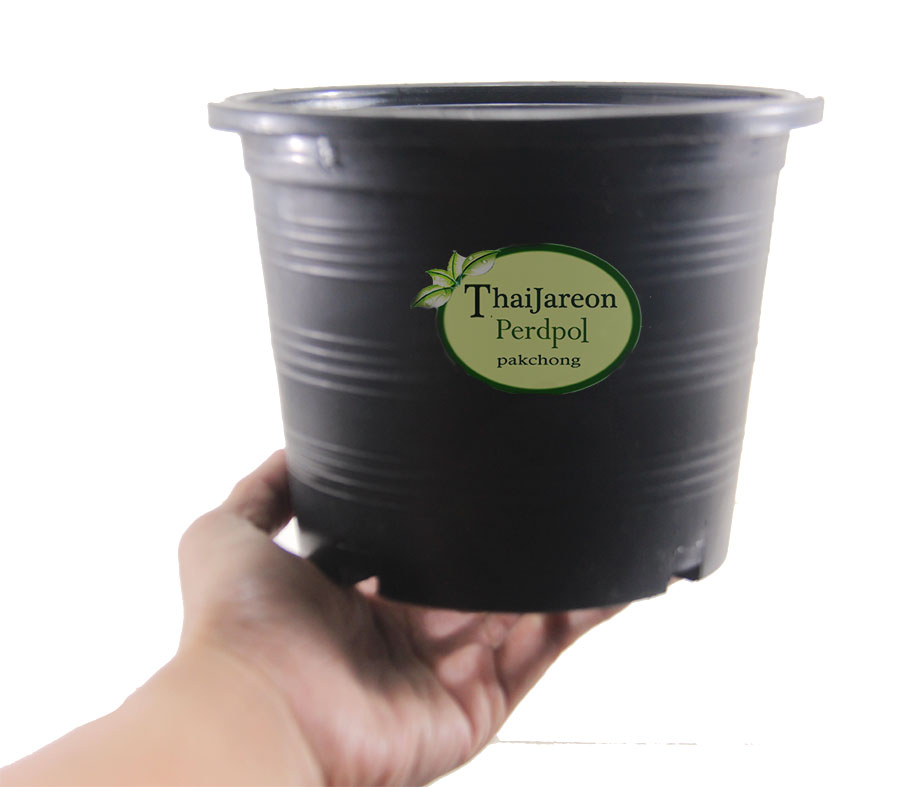 กระถางพลาสติกกลมสีดำ