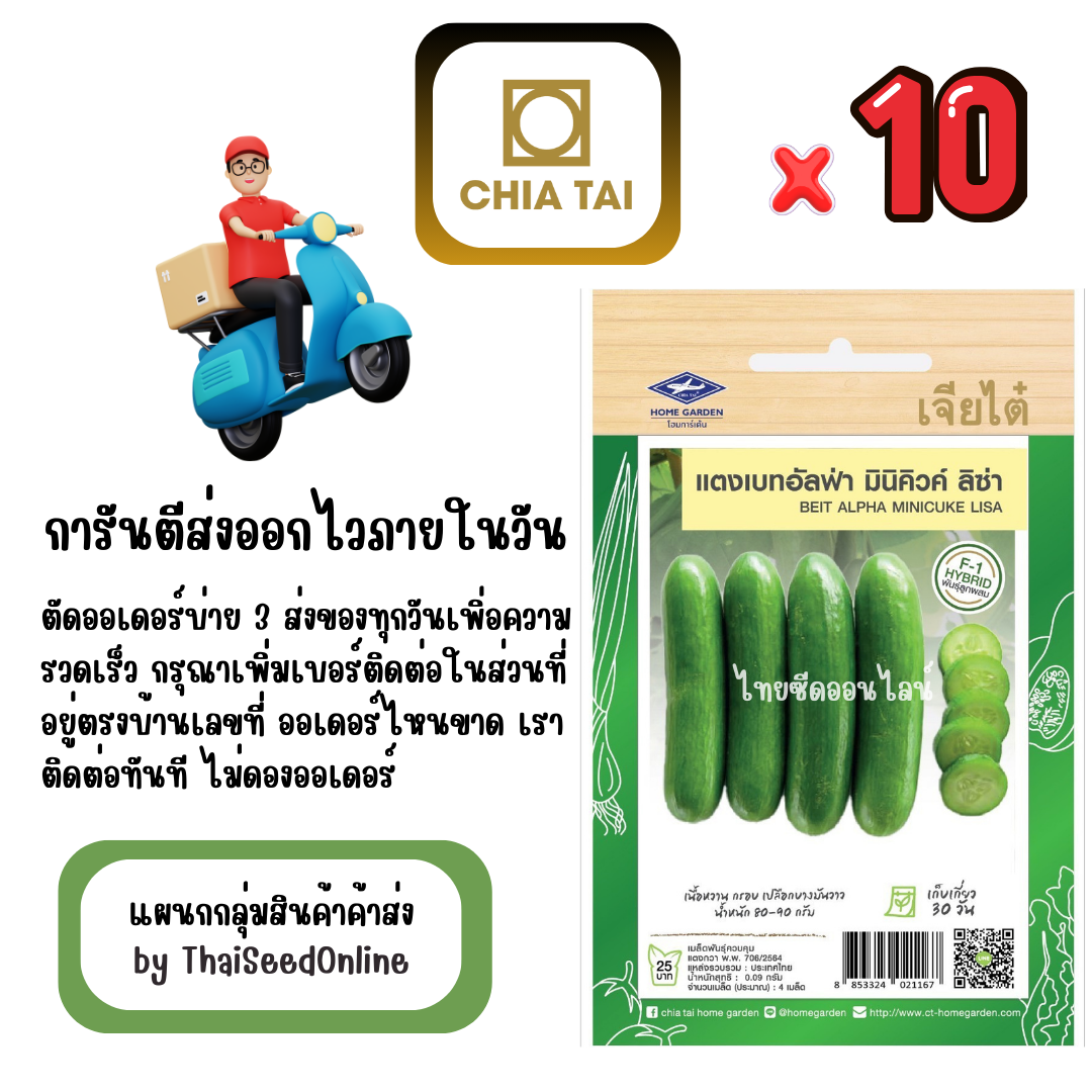 CTF1 x 10 เมล็ดผักซองเจียไต๋ เบท อัลฟ่า มินิคิวค์ ลิซ่า สินค้ายกแพ็ค