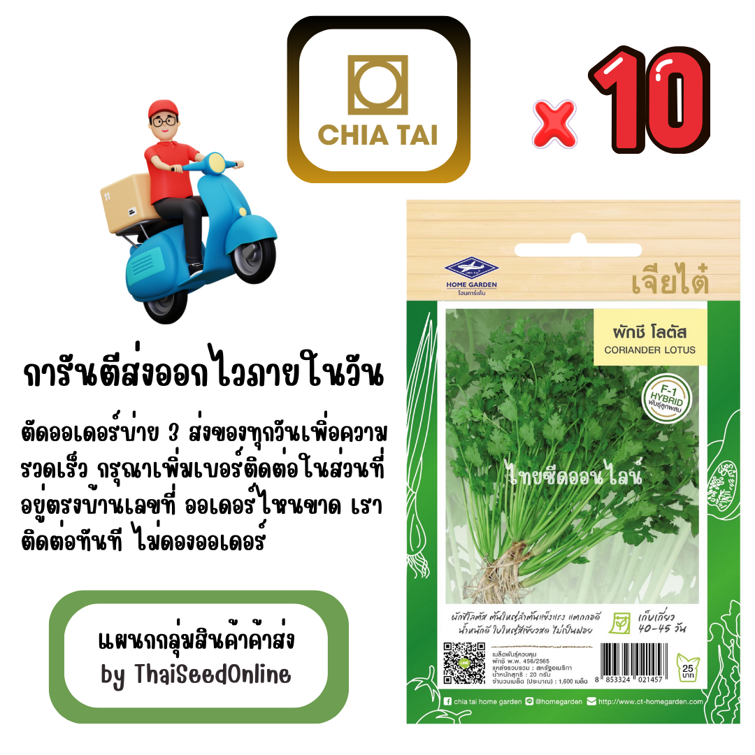 CTF1 x 10 เมล็ดผักซองเจียไต๋ ผักชี โลตัส สินค้ายกแพ็ค