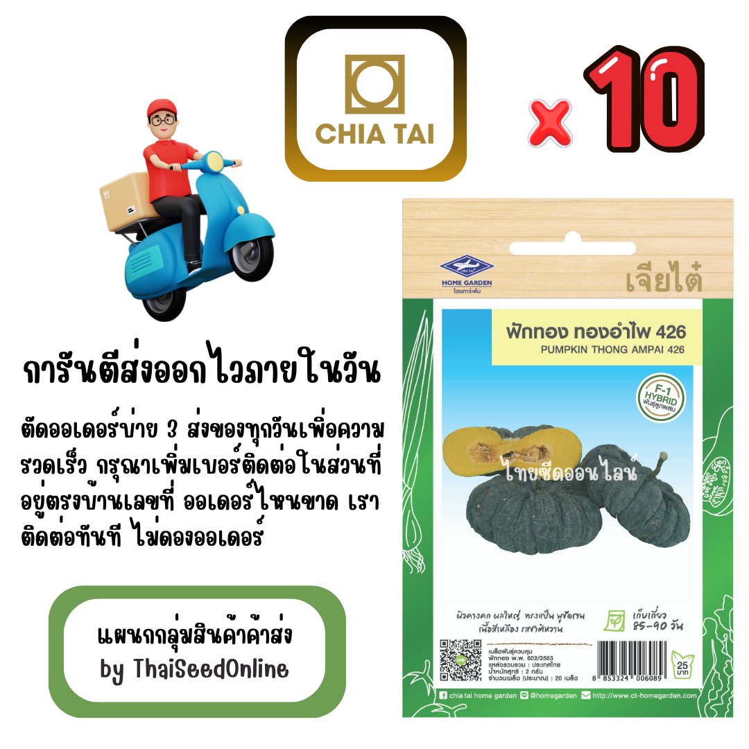 CTF1 x 10 เมล็ดผักซองเจียไต๋ ฟักทอง ทองอำไพ 426 สินค้ายกแพ็ค