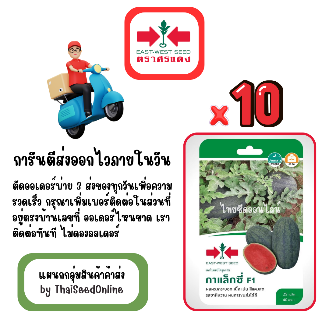 GGx10 เมล็ดผักซองศรแดง กาแล็กซี่ แตงโม สินค้ายกแพ็ค