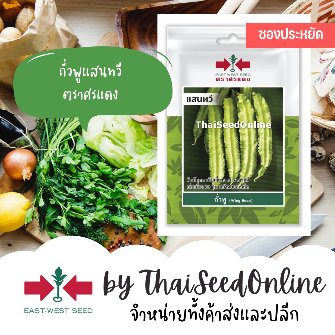 VP3 ซฟ เมล็ดพันธุ์ ถั่วพู แสนทวี 7เมล็ด ตราศรแดง Wing Bean