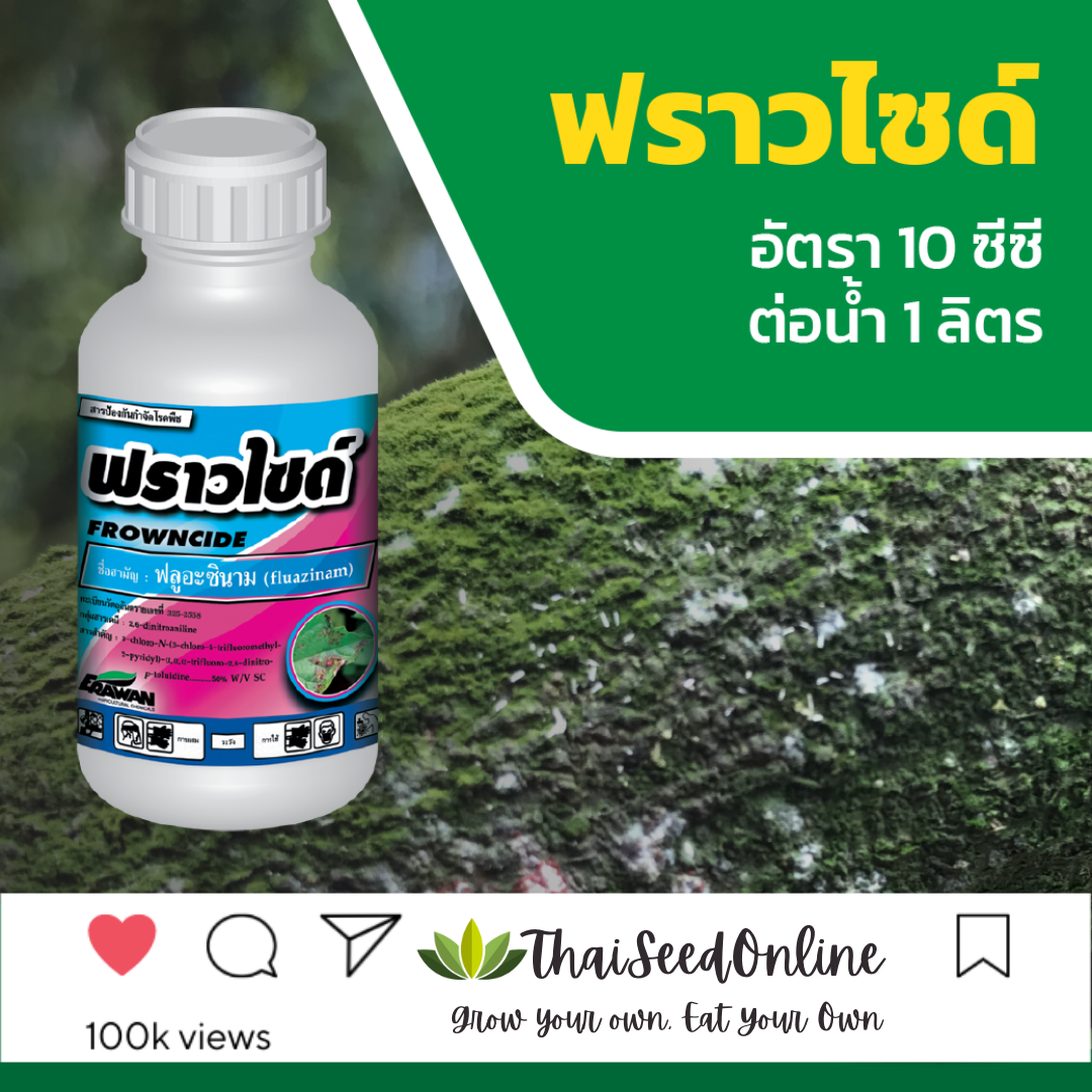 EF ขวด 100ซีซี 💥ใหม่ล่าสุด💥ฟราวไซด์ ฟลูอะซินาม 50% W/V SC นำเข้าจากญี่ปุ่น Fungicide