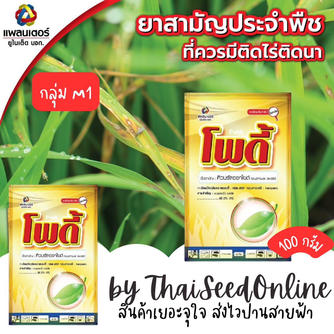 PTU โพดี้ 100กรัม Cuprous oxide 100g. แก้ขอบใบแห้ง ใบส้ม แบคทีเรีย บริษัท แพลนเตอร์ยูไนเต็ด จำกัด