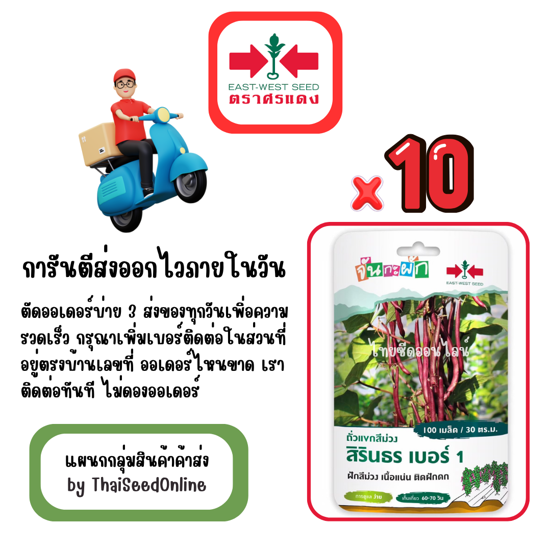 GGx10 เมล็ดผักซองศรแดง สิรินธรเบอร์ 1 ถั่วแขก ย้ำถั่วแขก ไม่ใช่ถั่วฝักยาว สินค้ายกแพ็ค