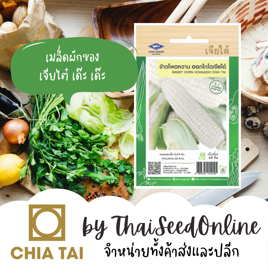 CTF1 เมล็ดพันธุ์ ข้าวโพดหวานฮอกไกโดทานดิบ ตราเจียไต๋ ข้าวโพดนมสด Corn Freshly Eaten