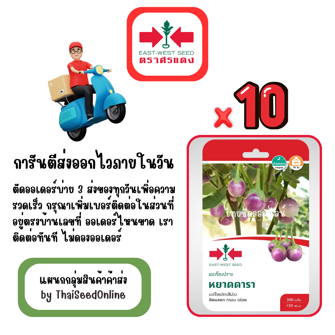 GGx10 เมล็ดผักซองศรแดง หยาดดารา มะเขือม่วงกลม สินค้ายกแพ็ค