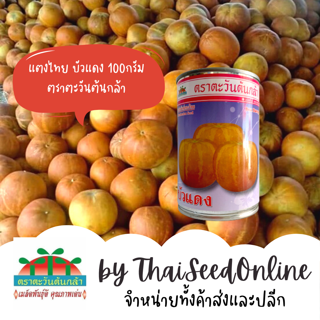 ADV กป 80 กรัม แตงไทยบัวแดง ตราตะวันต้นกล้า แตงไทยลูกกลม