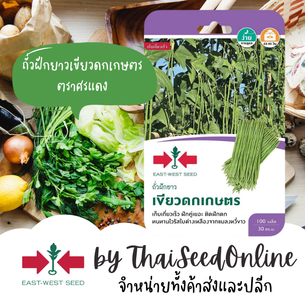 Sorndang(ศรแดง) Sorndang(ศรแดง) GGEW ถั่วฝักยาว เขียวดกเกษตร ตราศรแดง Cabbage