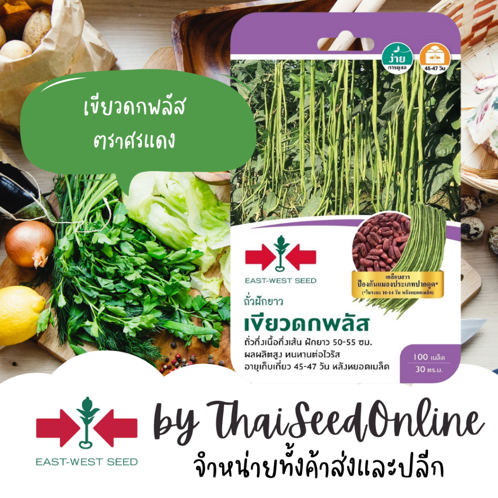 Sorndang(ศรแดง) GGEW เมล็ดพันธุ์ซฟ ถั่วฝักยาว เขียวดกพลัส 100 เมล็ด ตราศรแดง Yard Long Bean